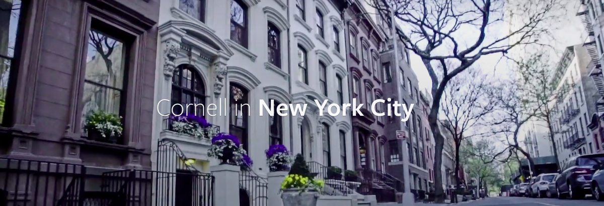 스크린샷 2019-06-10 13.59.52.png